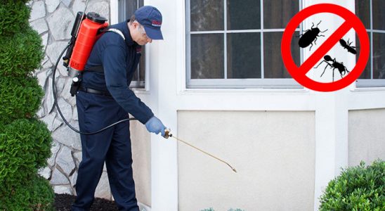 Gazipaşa Akrep İlaçlama böcek ilaçlama ve haşere kontrolü — ilaclama-tr.com